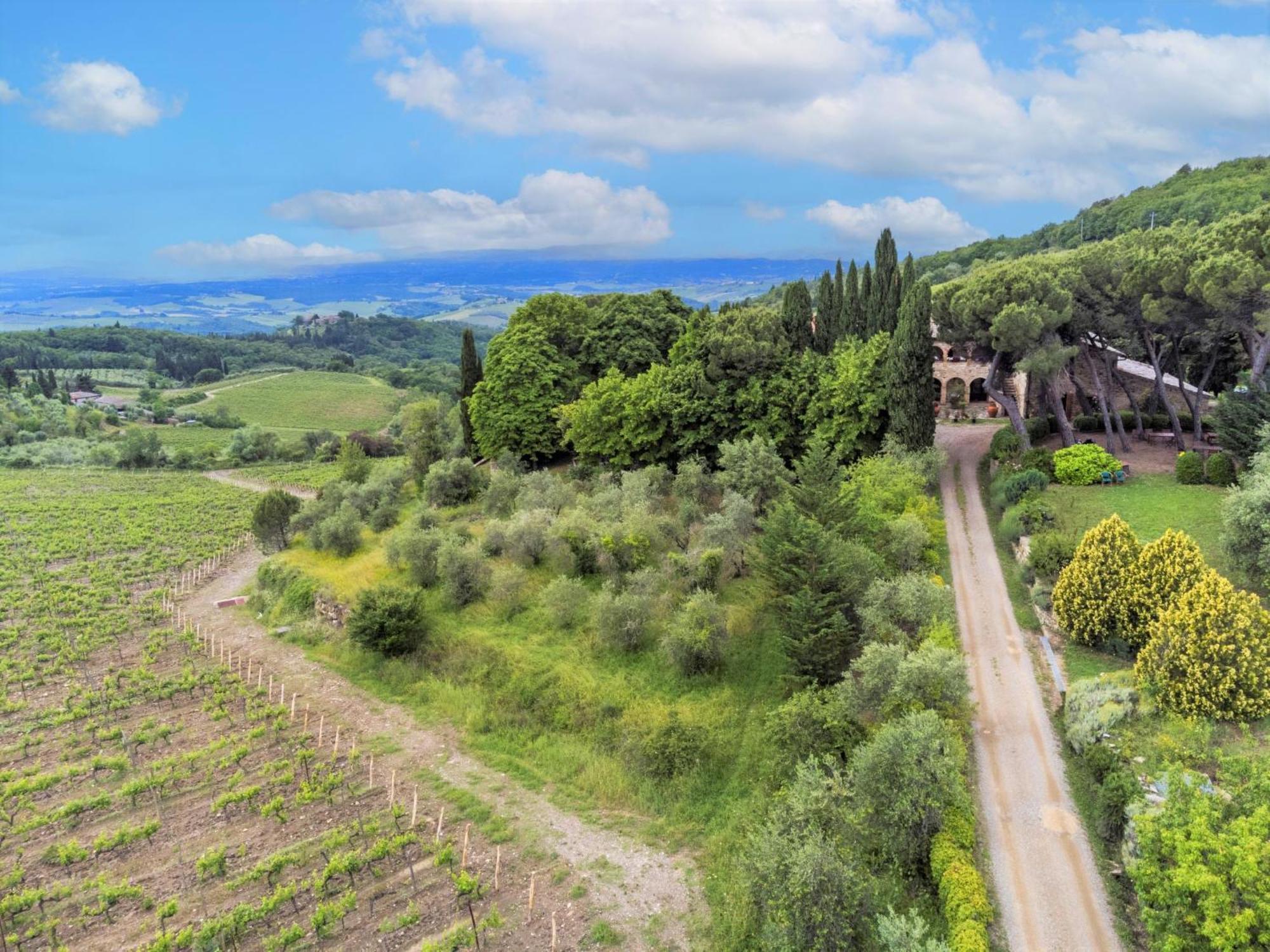 Apartment Cellole - Cellole 2 - Ctc151 By Interhome Castellina in Chianti Exterior foto